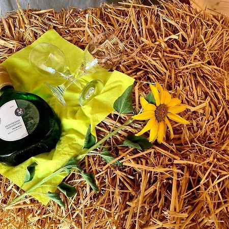 Schlaffass Mit Wellness In Alter Scheune Seinsheim Exterior photo